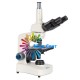 Мікроскоп Delta Optical Genetic Pro Trino (A)